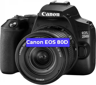 Замена Чистка матрицы на фотоаппарате Canon EOS 80D в Санкт-Петербурге